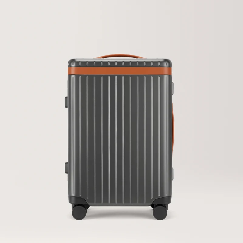The Large Carry-on