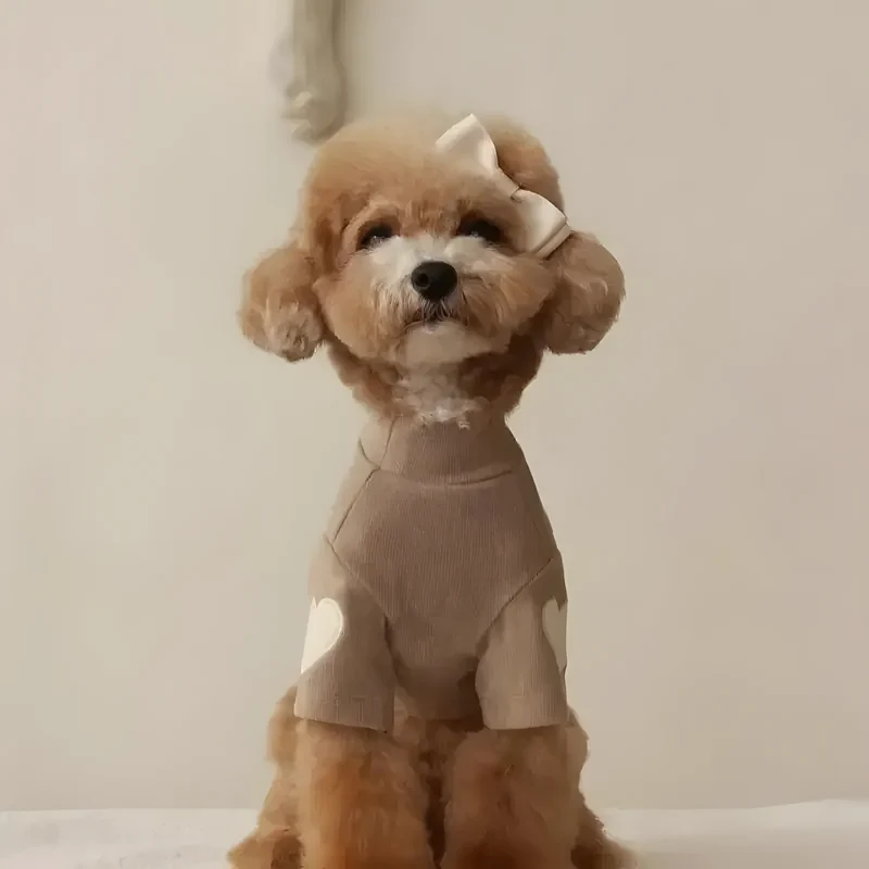 Heart Sweater for Dogs