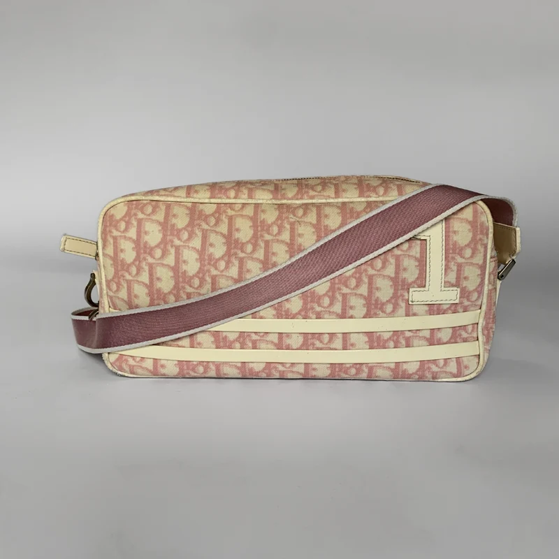 Dior Messenger Oblique Canvas