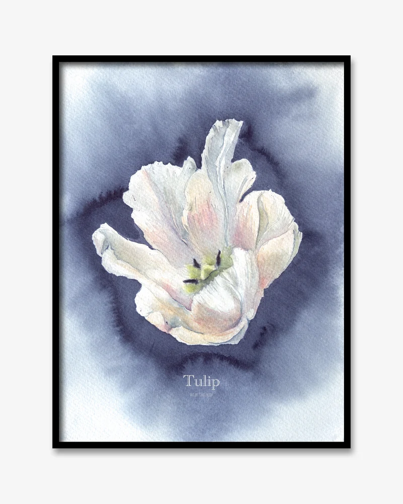 Tulip poster