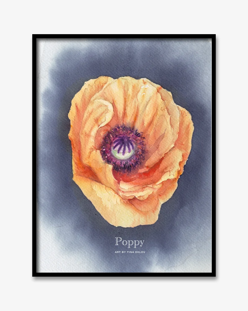 Poppy Poster