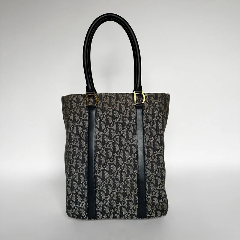 Dior Shopper Sned canvas