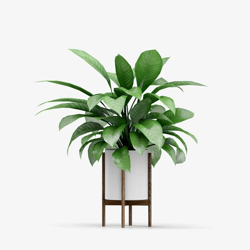 (Product 01) Sample - Furniture and Ornaments For Sale