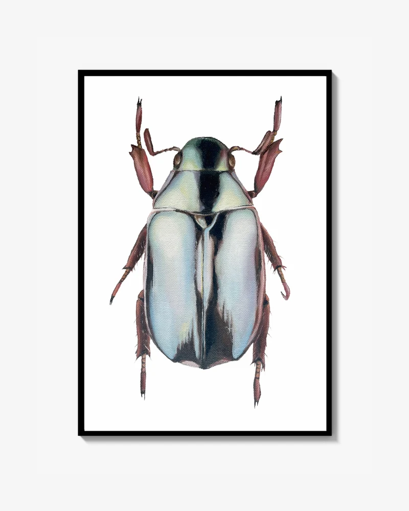 Beetle - Poster