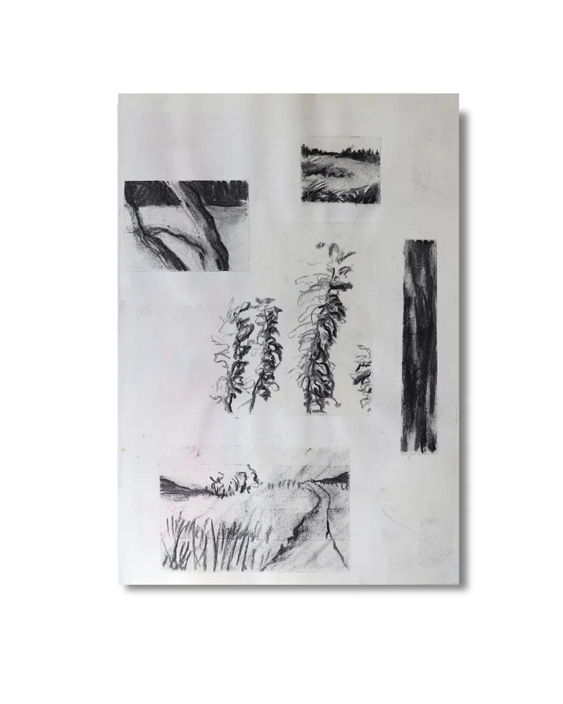 Pretty cuts No.2 Original