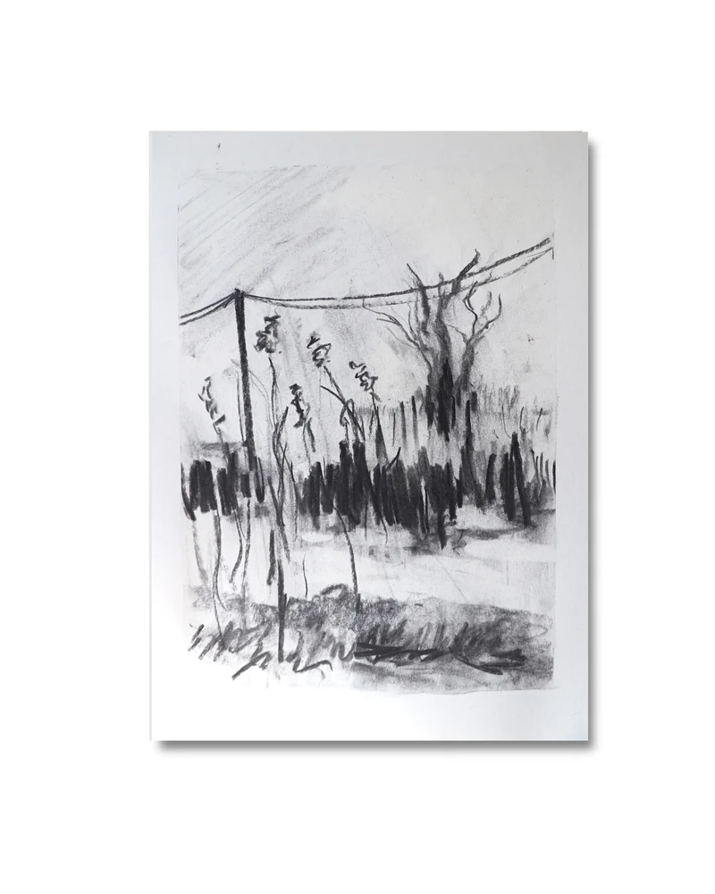 Wild geese sleep here Original