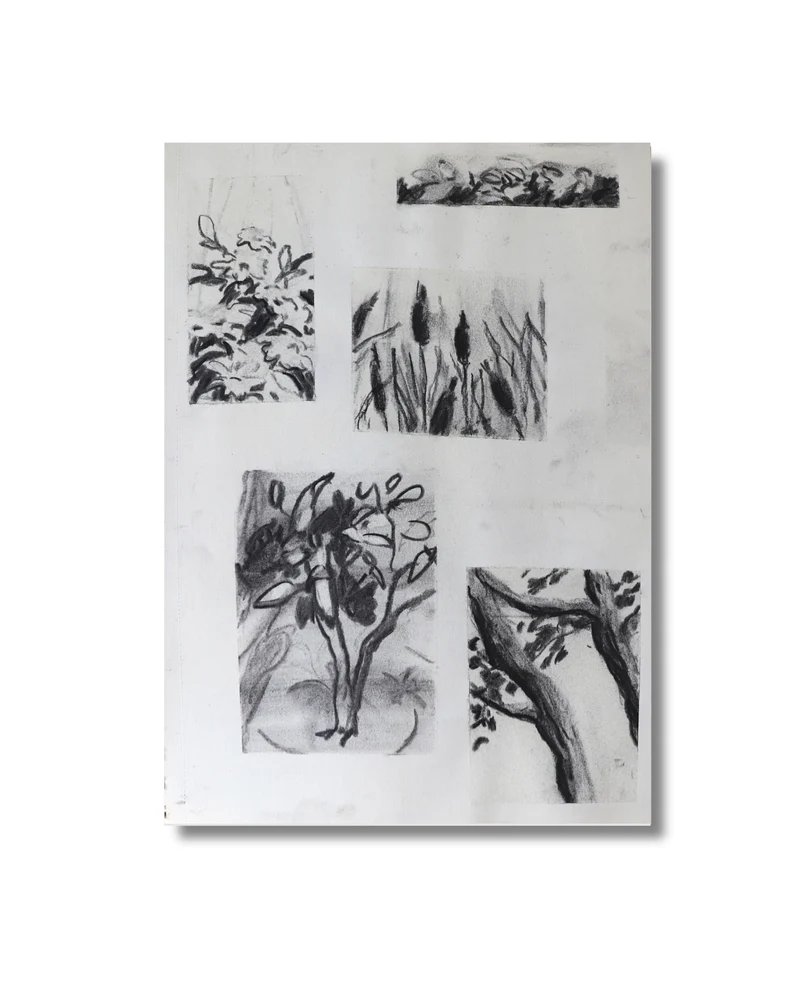 Pretty cuts No. 1 Original