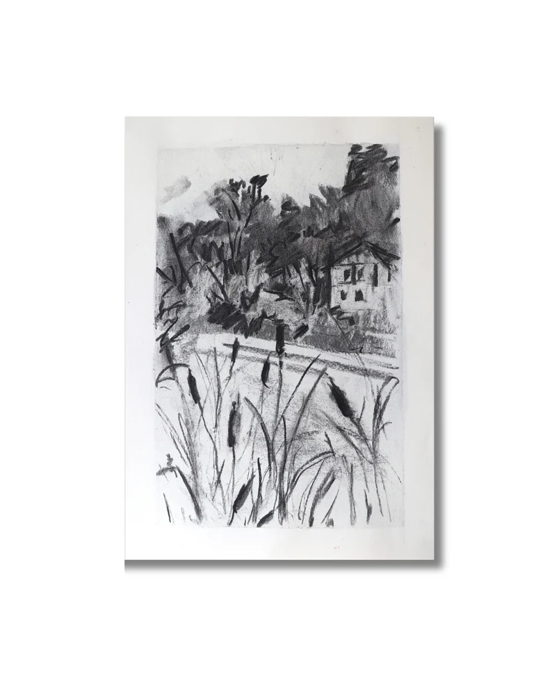 Comfort of cattail Original