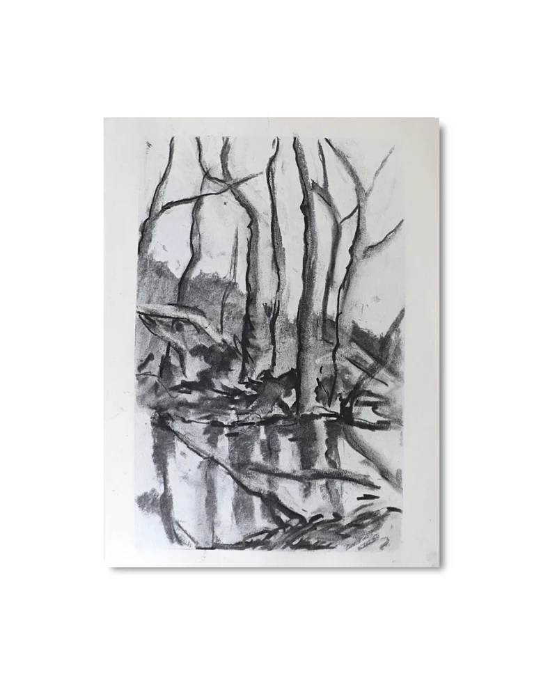 North swamp Original