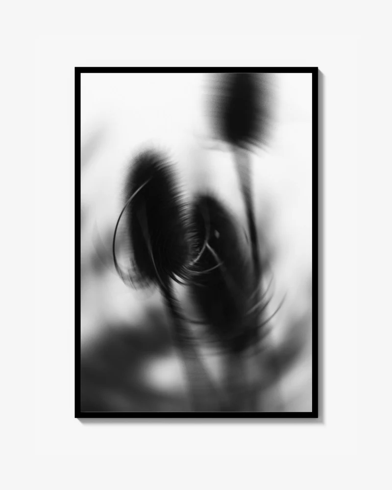 THISTLES Fine Art Print