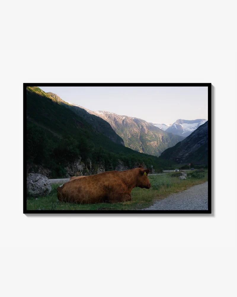 Norway trip - ko