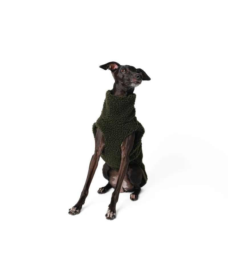 PILE SWEATER ITALIAN GREYHOUND - KHAKI