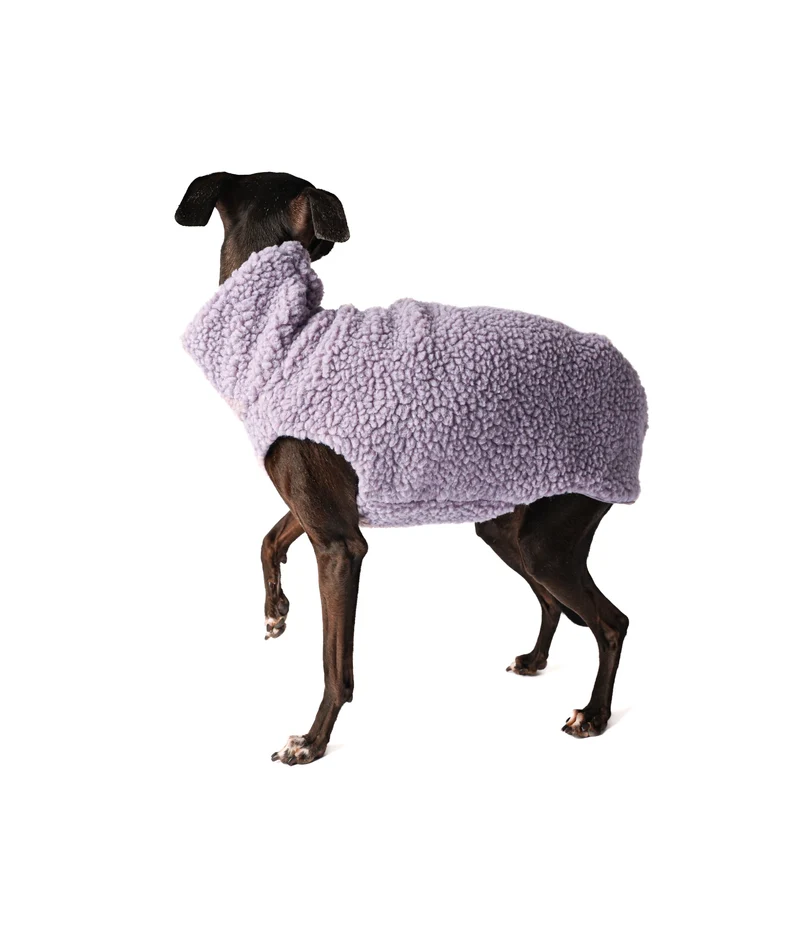 PILE SWEATER ITALIAN GREYHOUND - Lavendel