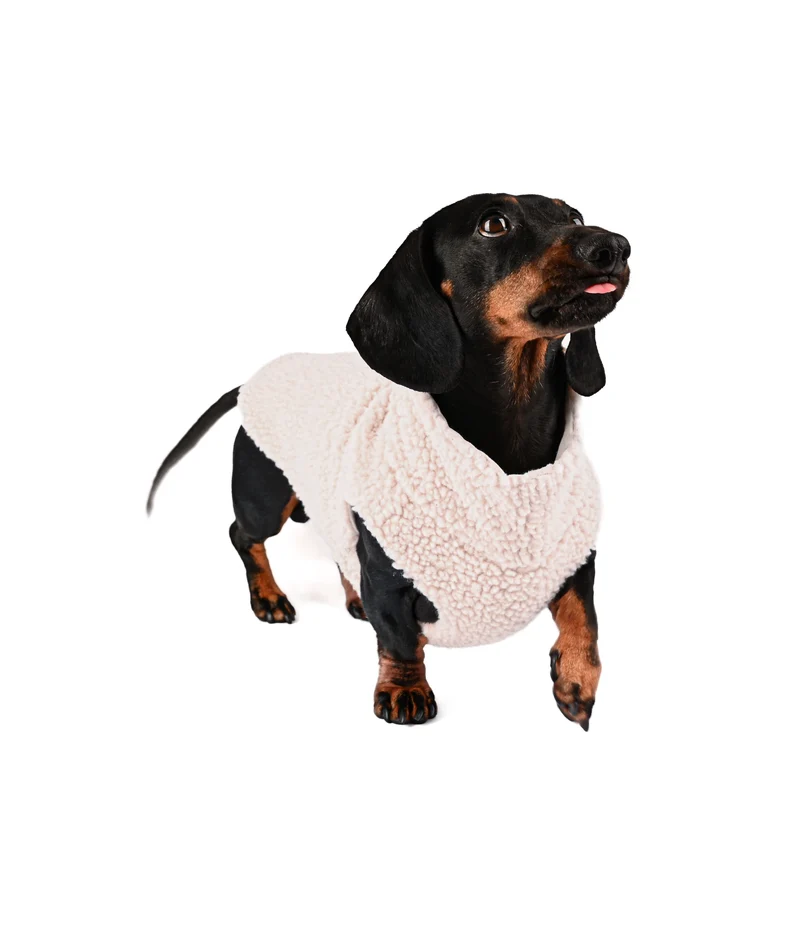 PILE SWEATER DACHSHUND - CREME
