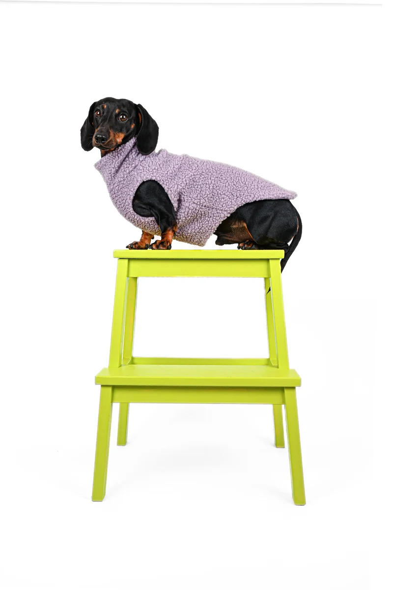 PILE SWEATER DACHSHUND - LAVENDAR