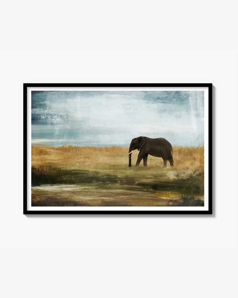Elefanten Poster