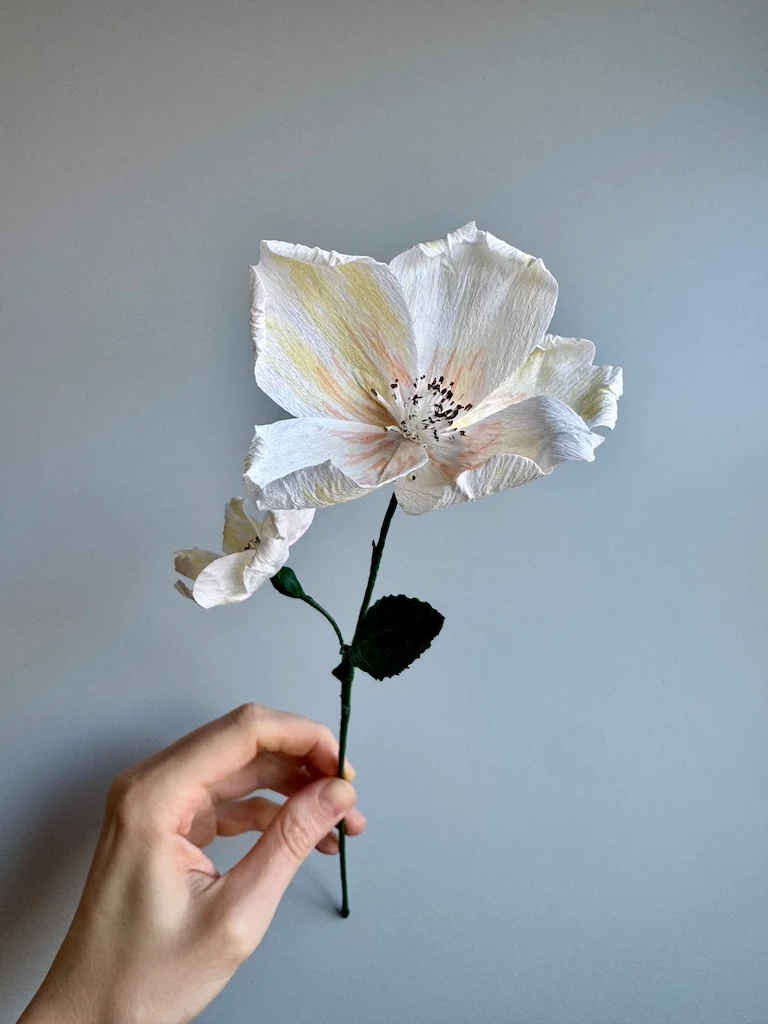 Double Wild Pastel Valentine Paper rose #1