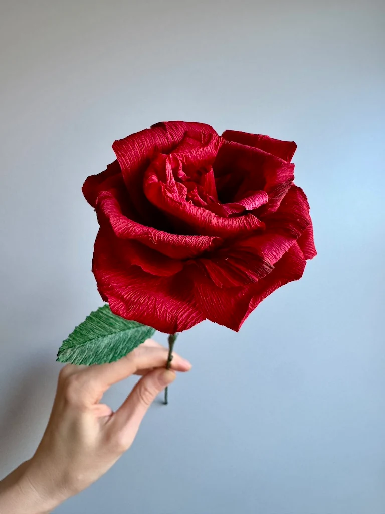 Burgundy röd Valentine Paper rose #2