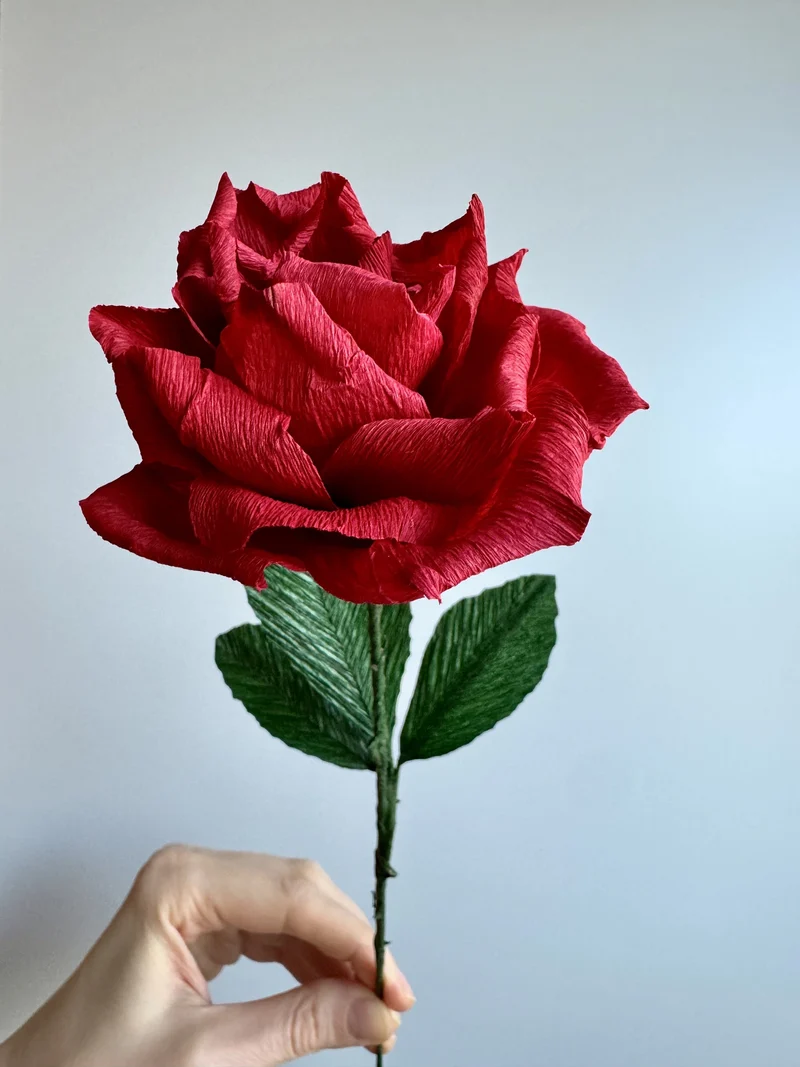 Burgundy Röd Valentine Paper rose #1