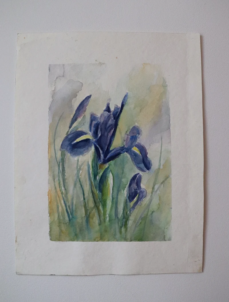 Irises Original
