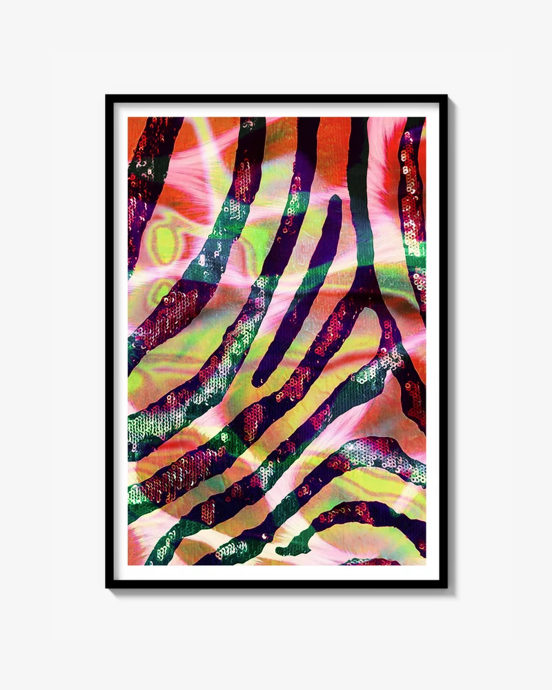 Regnbåge zebra Print