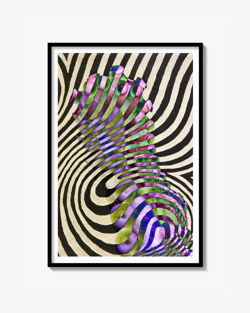 Zebra Print