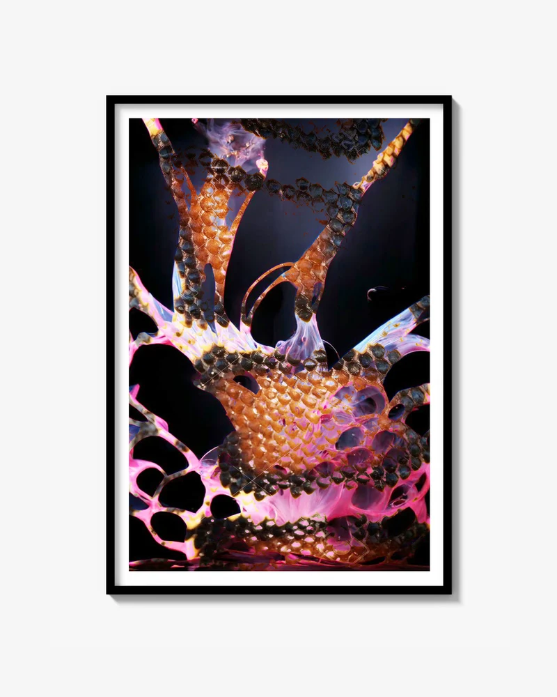 Rosa Orm Print