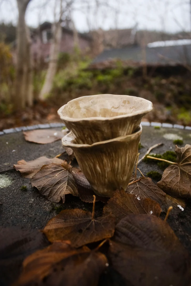 Svampkoppset