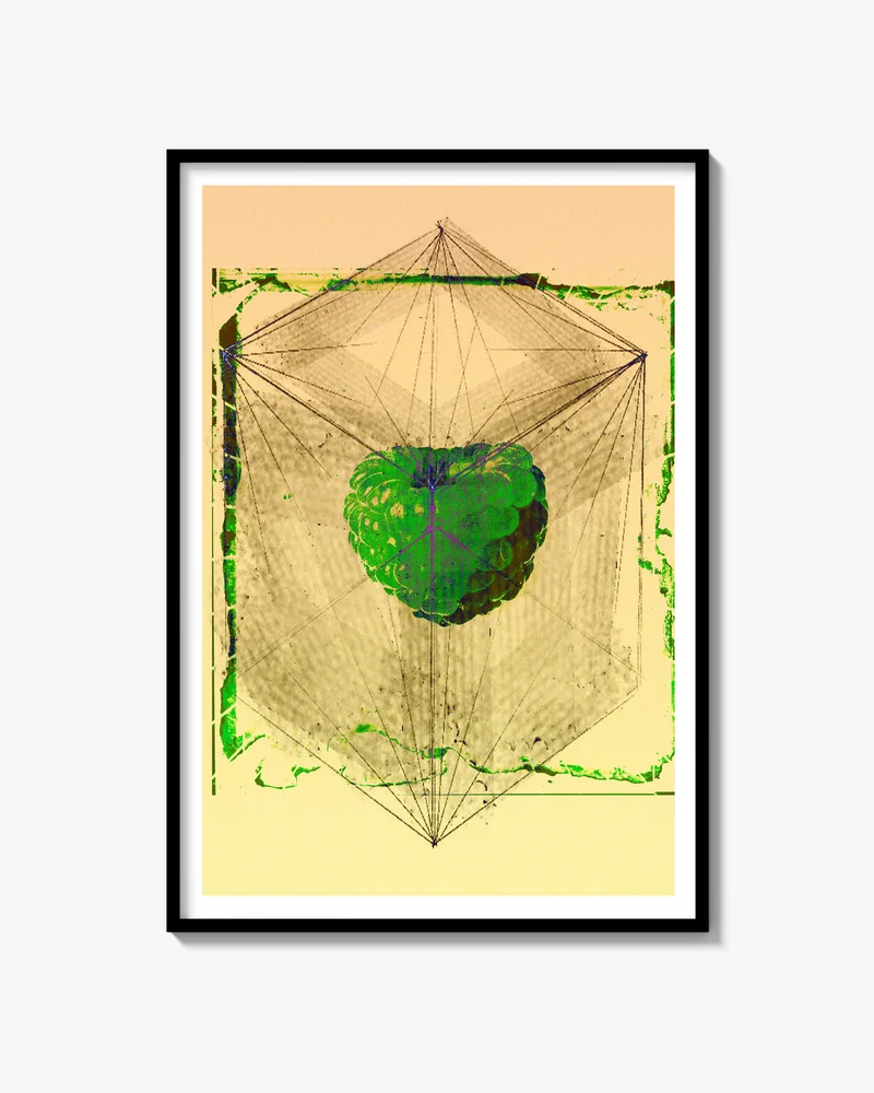 Raspberry dream Print