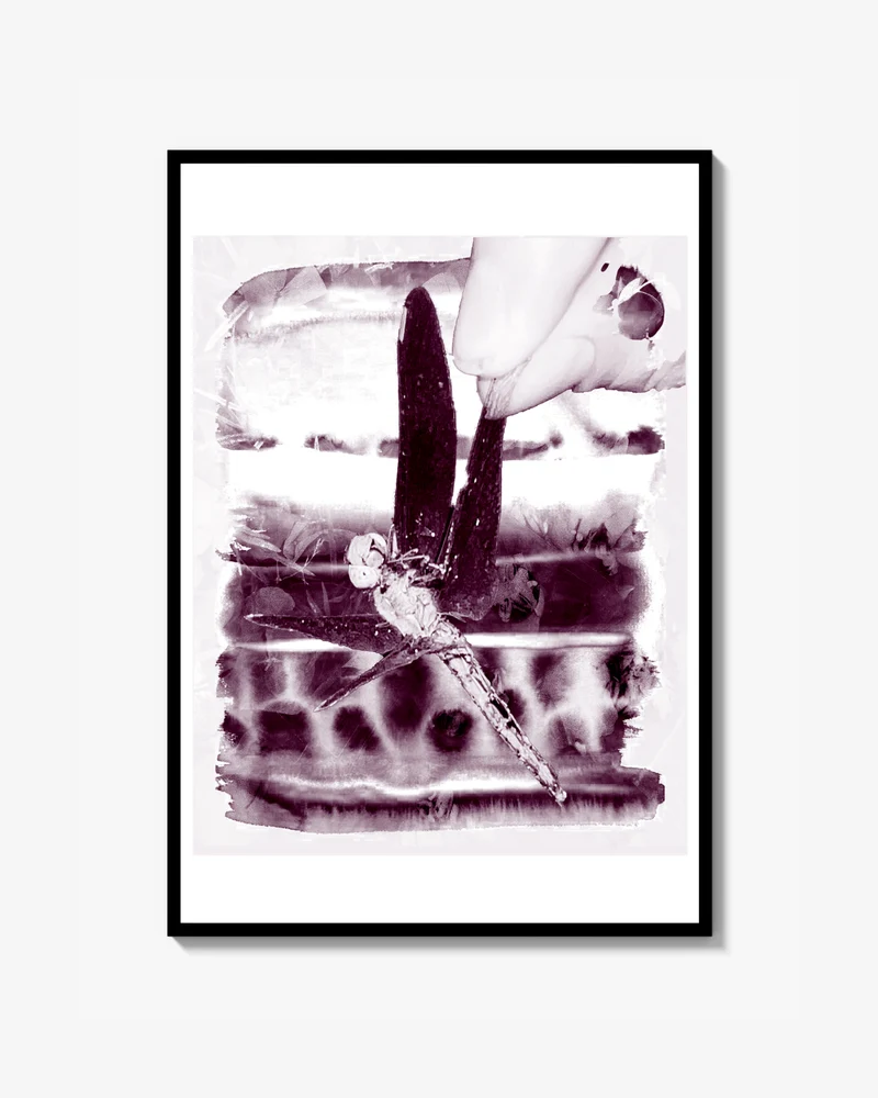 Trollslända Print