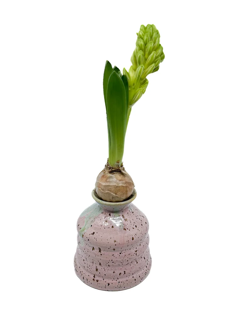 Vas - Rosa dot