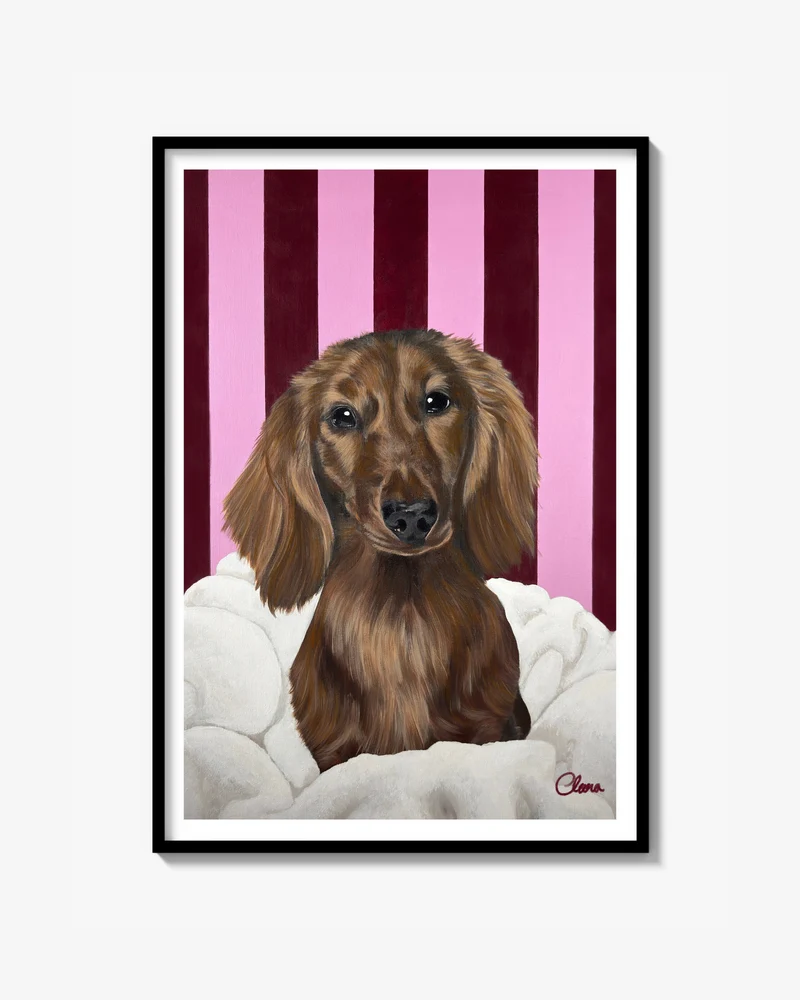 Chic Dachshund Poster