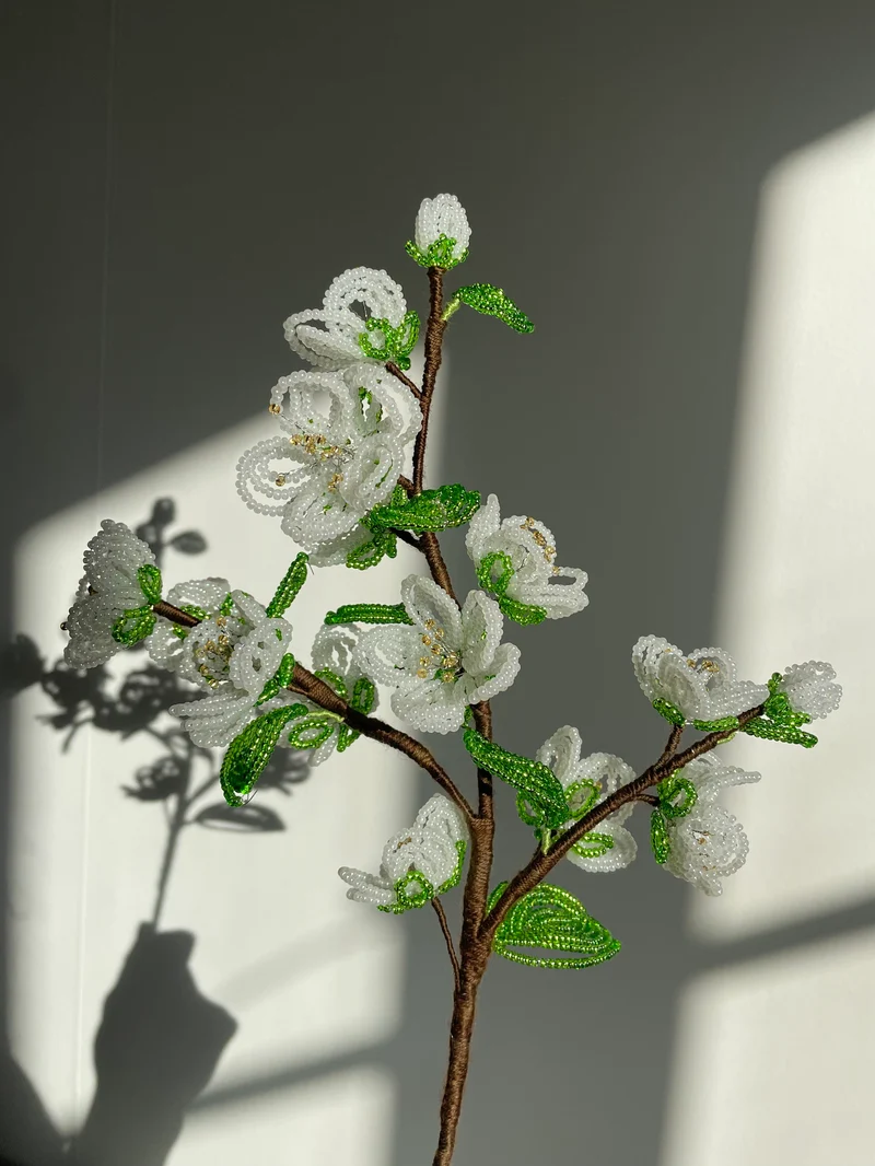 Pearly Apple blossom