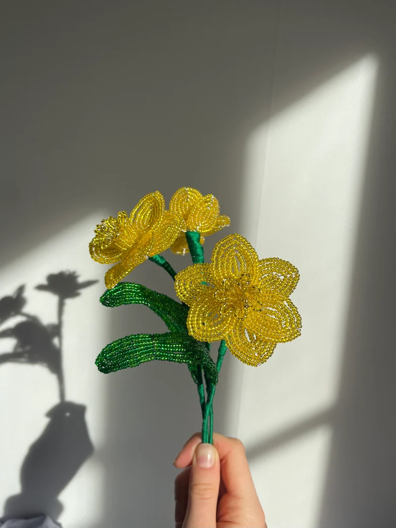 Daffodils pearled