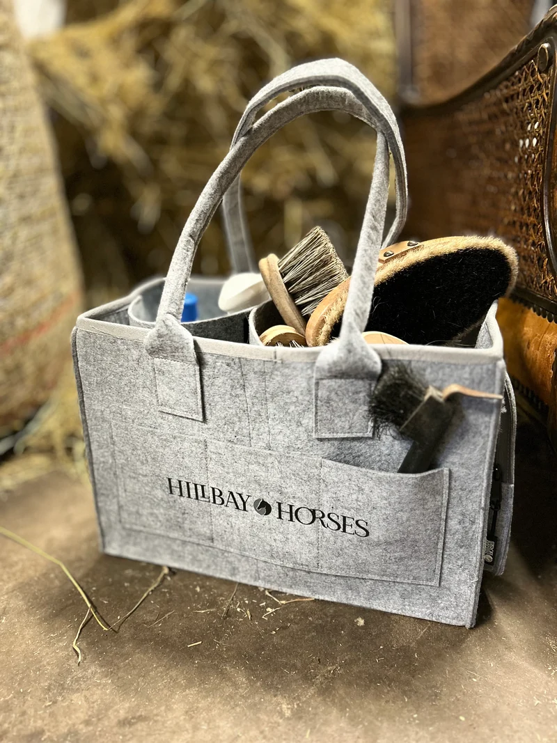 Grey grooming bag
